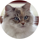 maribel ortega maribel ortega