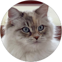 maribel ortega profile picture